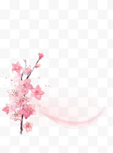 粉色唯美手绘花朵植物