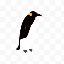 黑白企鹅彩设计