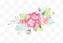 清新唯美手绘水墨粉色鲜花