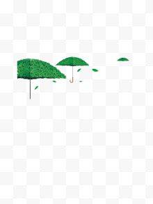 绿叶伞