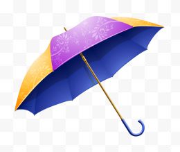 伞紫色黄色