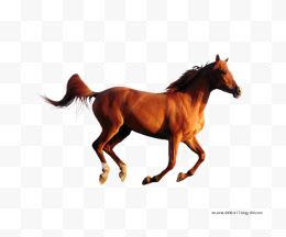 一匹奔跑褐色马
