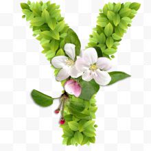 春意盎然的绿叶花卉字母Y...