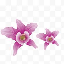 紫色两朵卡通兰花