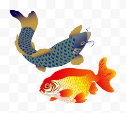 红鲤鱼矢量鱼儿金鱼