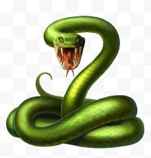 一条绿色蛇