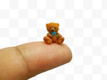一厘米大小的小熊