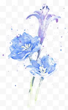 水彩蓝色鲜花