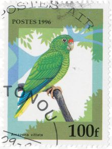 绿色鹦鹉邮票