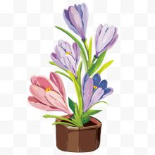 手绘植物紫色花卉