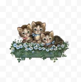 花堆中可爱的小猫