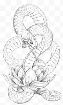 素描长蛇