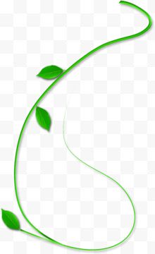 绿色清新植物树藤装饰图案...