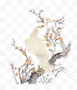 中国工笔画系列花鸟