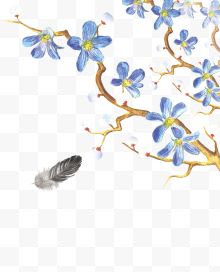 黑色羽毛与蓝色花枝