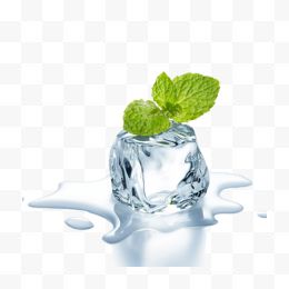 水杯冰块绿叶水效果...