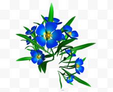 蓝色花卉