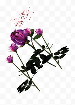 紫色玫瑰花装饰图案...