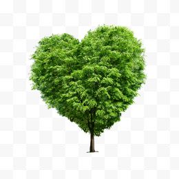 一颗绿色爱心树