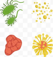 四个矢量彩色细菌