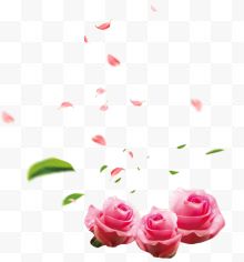 三朵粉色玫瑰花