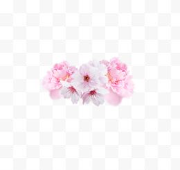 清新粉色花朵花团
