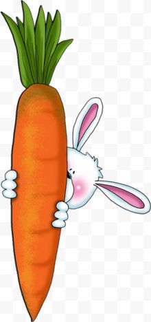 抱着胡萝卜的白色兔子...