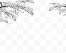 积满雪的树枝雪花