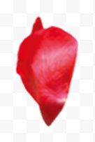 红色花瓣海报背景七夕情人节