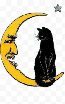 月亮与黑猫