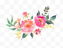 水墨手绘鲜花粉色花朵