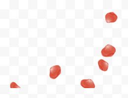 红色婚礼漂浮花瓣卡片