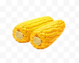 两个黄色玉米