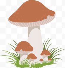 一朵矢量褐色蘑菇