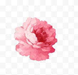 手绘唯美粉色花朵