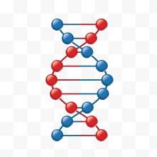 矢量手绘医学医疗科技DNA双螺