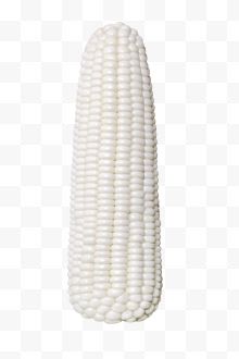 一根白色玉米