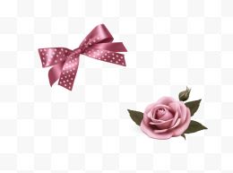 粉色蝴蝶结与玫瑰花...