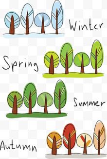 大树四季的生长过程...