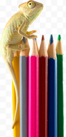 创意趴在铅笔上的蜥蜴...