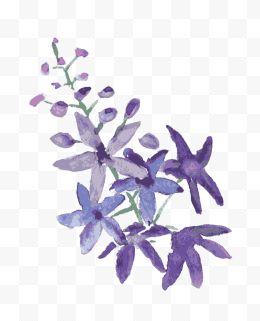 手绘水墨一束紫色花朵