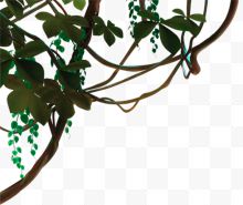 绿色简约树枝装饰图案