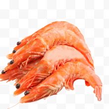 红色基围虾