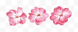 卡通手绘粉色水彩花朵合集
