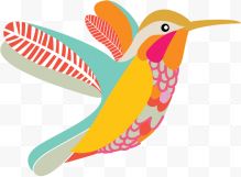 彩色花纹蜂鸟