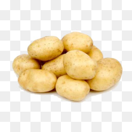 黄色新鲜土豆