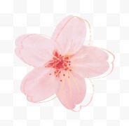 一朵粉色桃花
