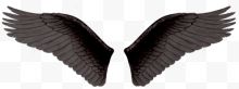 黑色的邪恶的翅膀