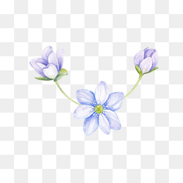 蓝色手绘鲜花插画