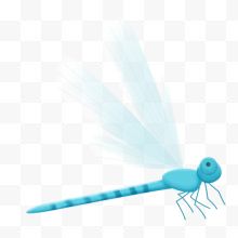 飞翔的蓝色蜻蜓